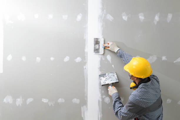 Best Ceiling Drywall Installation  in Ashland, IL